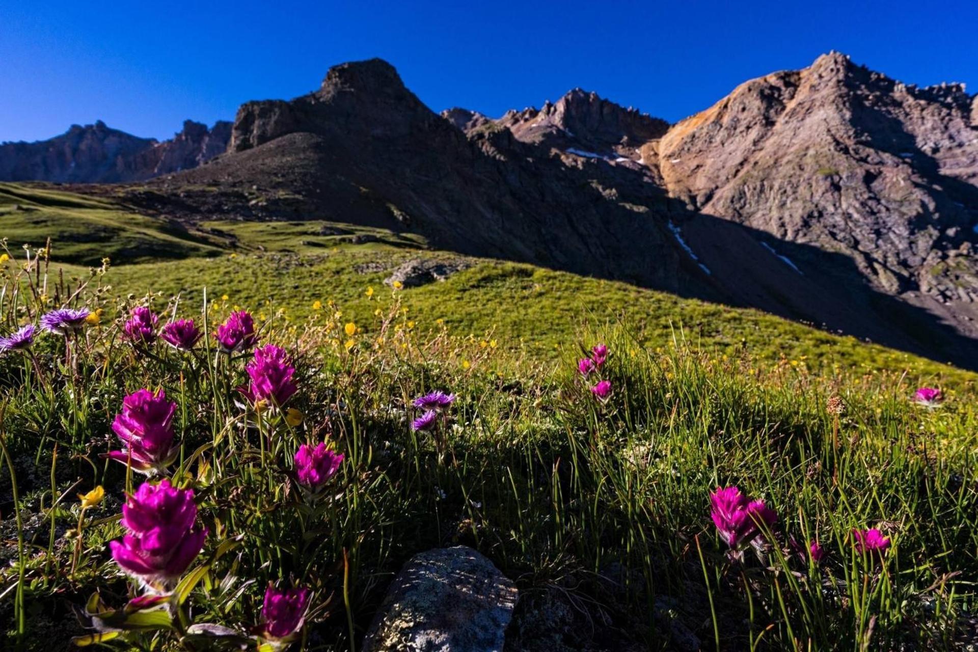 Vila Terraces First Tracks Telluride Exteriér fotografie